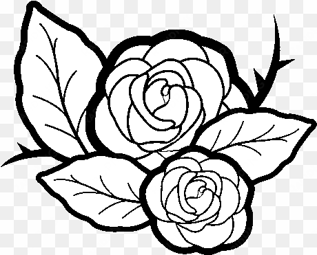 dibujo de dos rosas para colorear - desenho de duas rosas