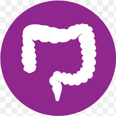 digestive system - $2 - 50 - ceu - - colon cancer icon