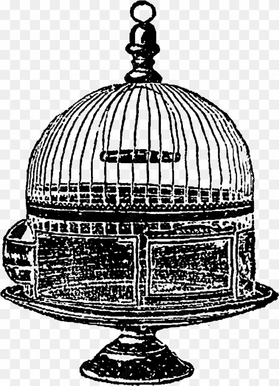 digital dome birdcage downloads - birdcage