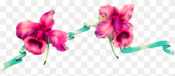 digital flower border design - flower