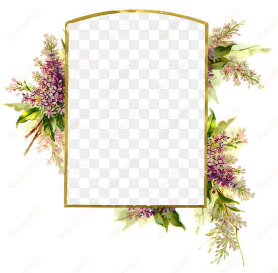 digital wisteria flower frame download png - design