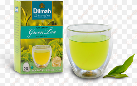dilmah real fresh iced tea green tea with ginger and - dilmah ceylon green tea