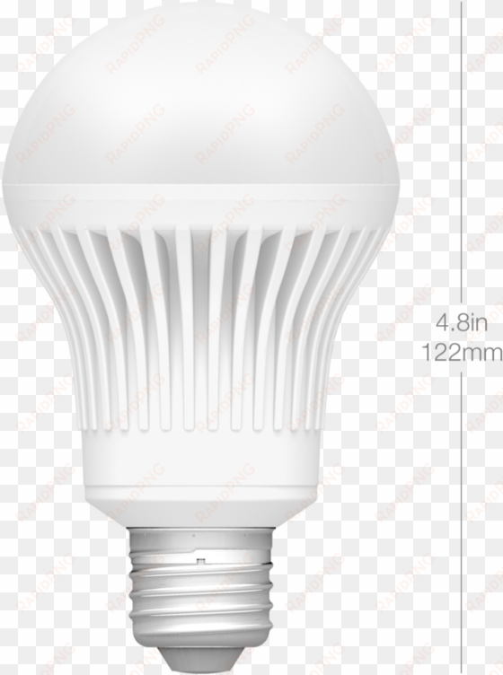 dimensions a19 front - incandescent light bulb