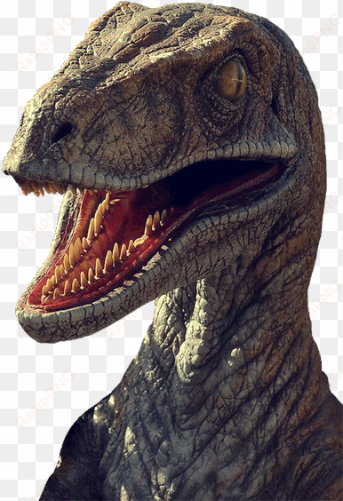 dinosaur in png - velociraptor jurassic park