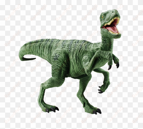 dinosaur png image - velociraptor jurassic world charlie