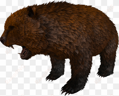 direbear - new dire bear ark