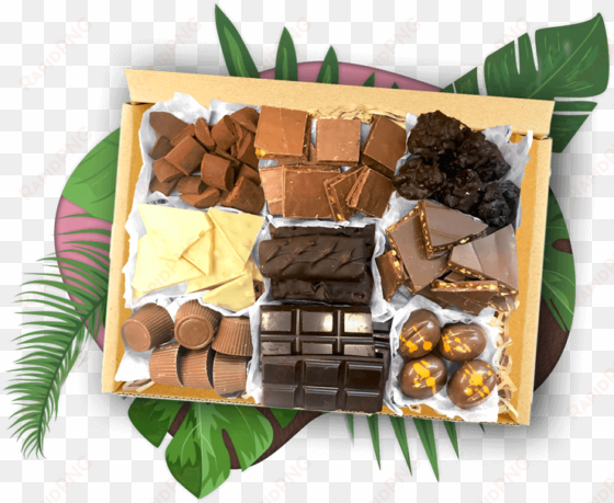 discover kiwi chocolate - chocolate