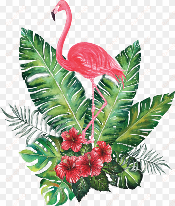 diseña bonito - flamingo png