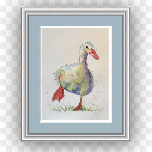dizzy duck, limited edition print - watercolor painting