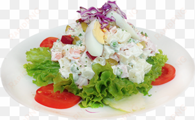 dn russian salad - russian salad in plate png