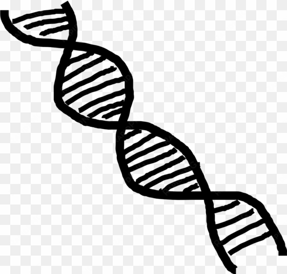 dna double helix - dupla helice png