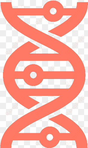 dna - graphic design