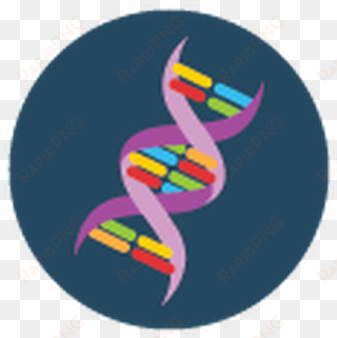 dna helix clip art at - clip art