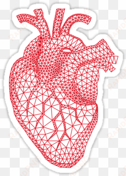 dna helix conformation print a form b form and z form - anatomical heart vector png