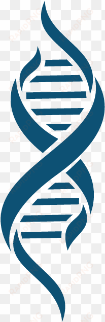 dna transparent images png - dna png