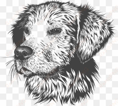 dog, animal, domestic animal, doggie - animal head vector black white