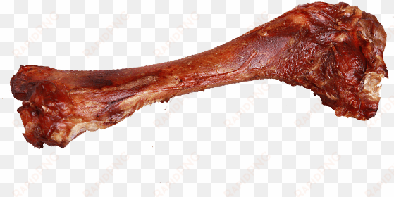 dog bone transparent png