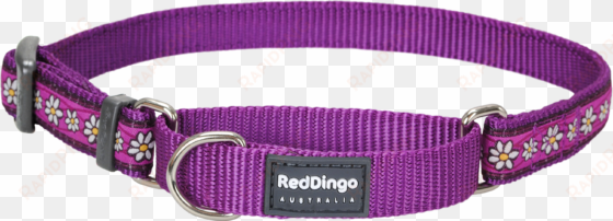 dog collar png - red dingo daisy chain purple large martingale collar