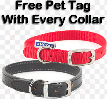 dog collar tag png - ancol heritage 30cm raspberry nylon dog collar - 310050