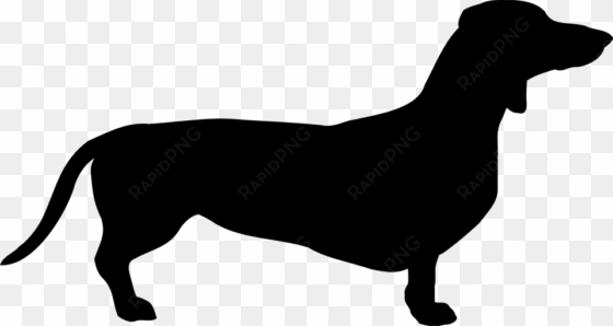 dog dachshund breed pet coat doggy the sil - dachshund svg