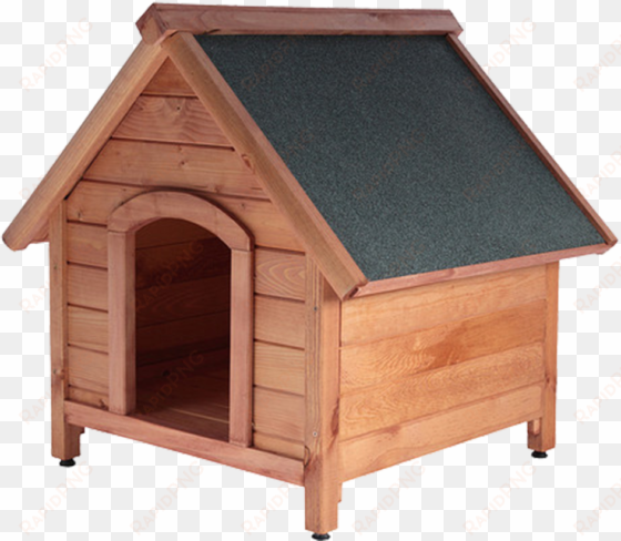 dog kennels/dog houses