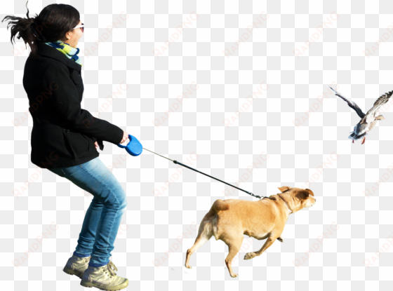 dog running at birds png image - person walking dog png