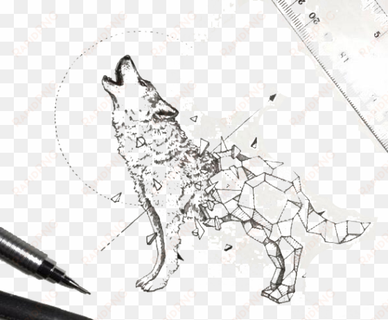 dog sketchy stories - kerby rosanes geometric wolf