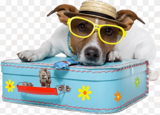dog vacation - 10 pet friendly hotel in the world