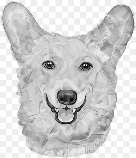 dog,german dog,white dogs,black and white,poly,triangle - corgi drawing transparent background