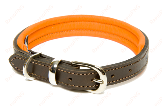 dogs & horses colours luxury leather dog collar orange - leather padded top dog collars