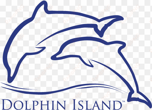 dolphin island resort world sentosa
