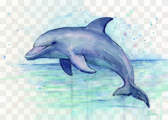 dolphin watercolor onesie for sale by olga shvartsur - dolphin art