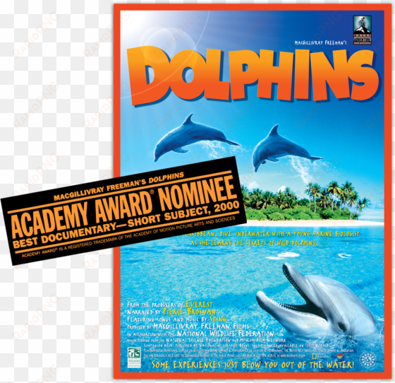 Dolphins Poster - Dolphins - (region 1 Import Dvd) transparent png image