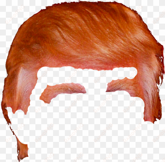 donald trump hair png - donald trump hair png transparent