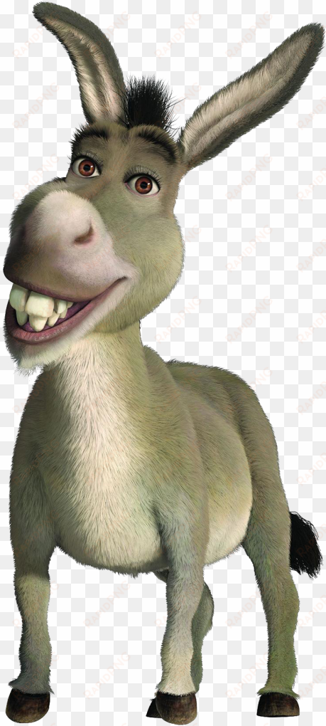 donkey png hd - donkey shrek