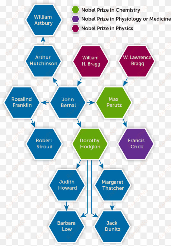 dorothy hodgkin was an inspiring woman - advent