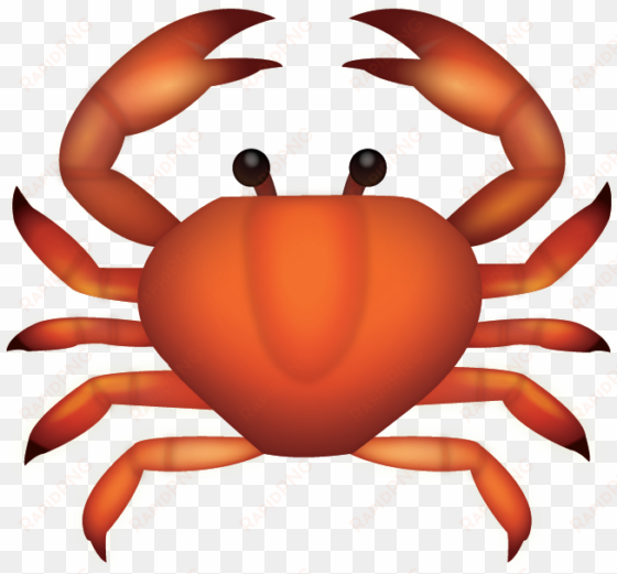 download ai file - rock crab