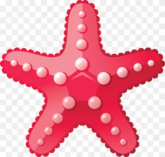 download amazing high-quality latest png images transparent - cartoon starfish png