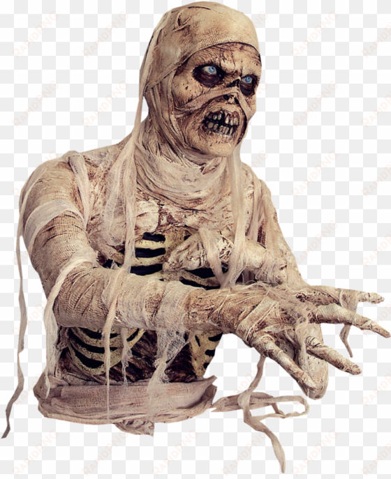 download amazing high-quality latest png images transparent - hd mummy images transparent backgrounds