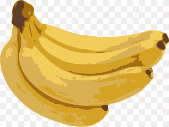 download bananas clipart 1 banana - banana dibujo png