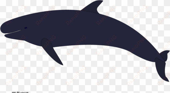 download bitmap picture false killer whale - whales
