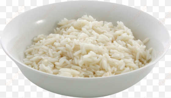 download - dog rice