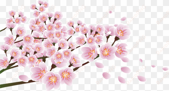 download flower floral design blossom - ppt