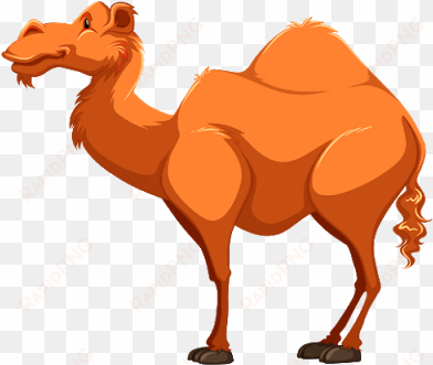 download free "camel clipart 10" png photo, images