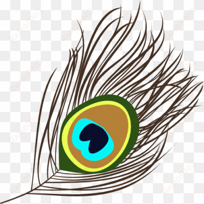 download free image and clipart eye images - peacock feather clipart png