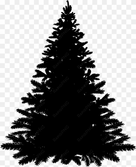 download png - balsam fir tree silhouette