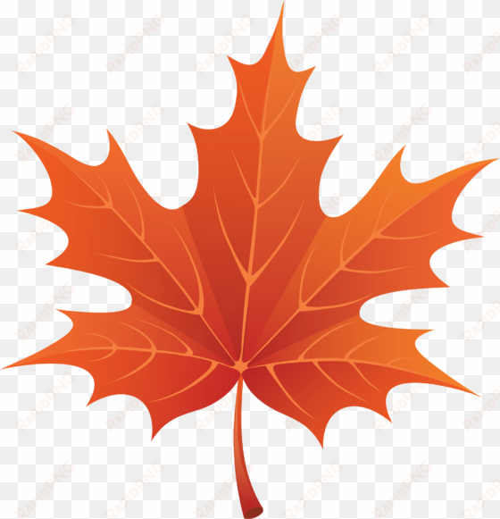 download png image maple png leaf - leaf clipart