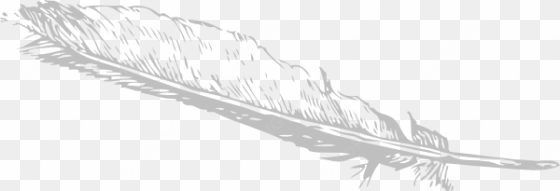 download png image report - feather clip art