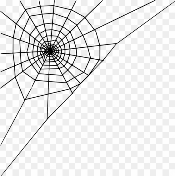 download png - spider web corner vector