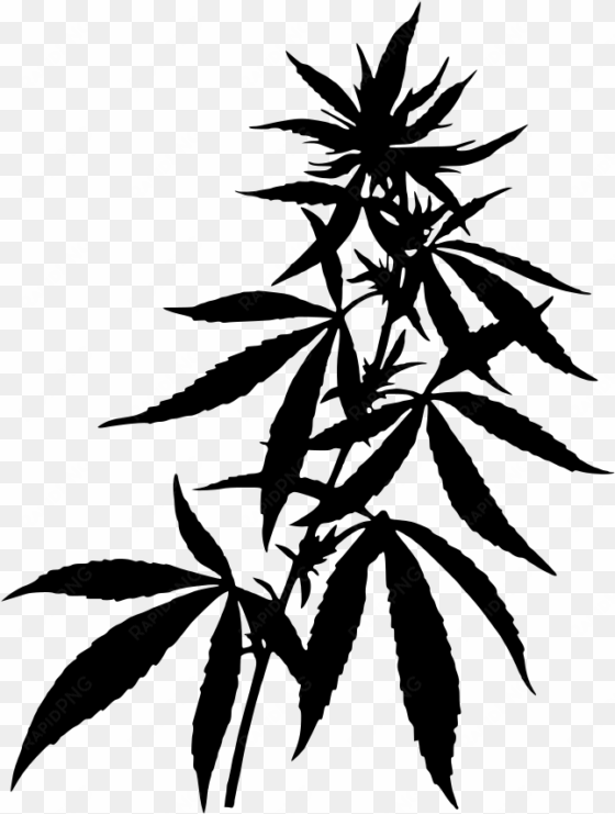 download png - weed plant silhouette png